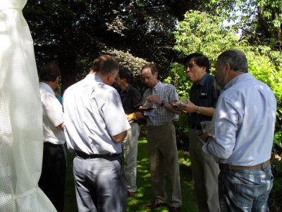 {short description of image}