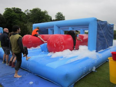 {short description of image}