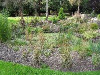 Hornton Grange Water feature