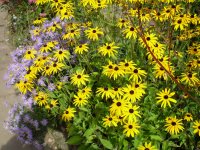 {short description of image}