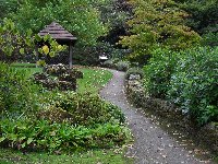 Path up from Japanese garden