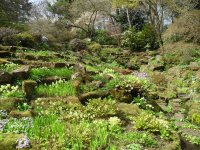 Sunken Garden in spring