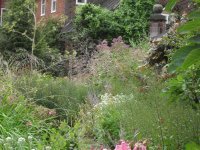 View from Memorial Bench towards Witerbourne House