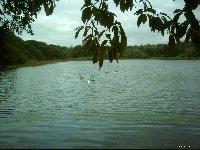 Edgbaston Golf Course Lake 