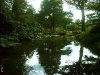 Japanese Bridge & Water Garden